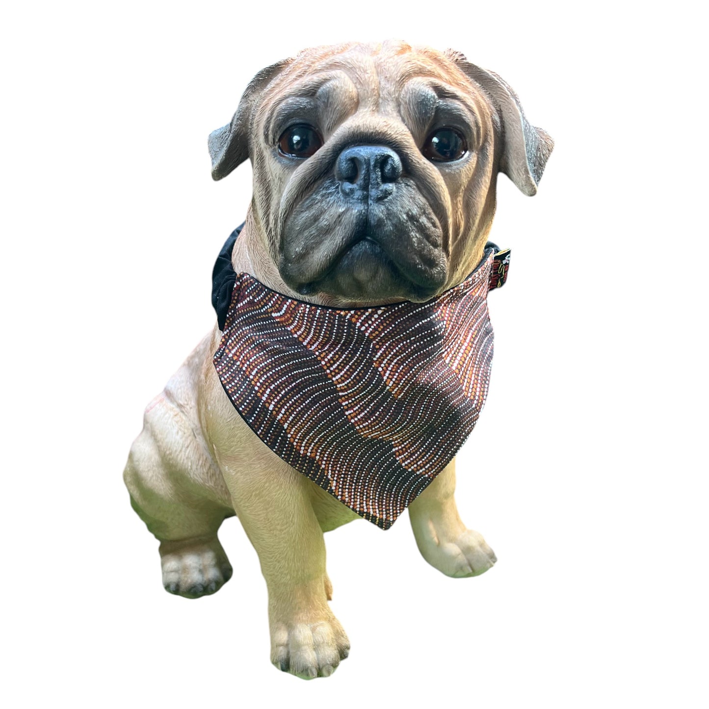 Doggy 'danas INDIGENOUS