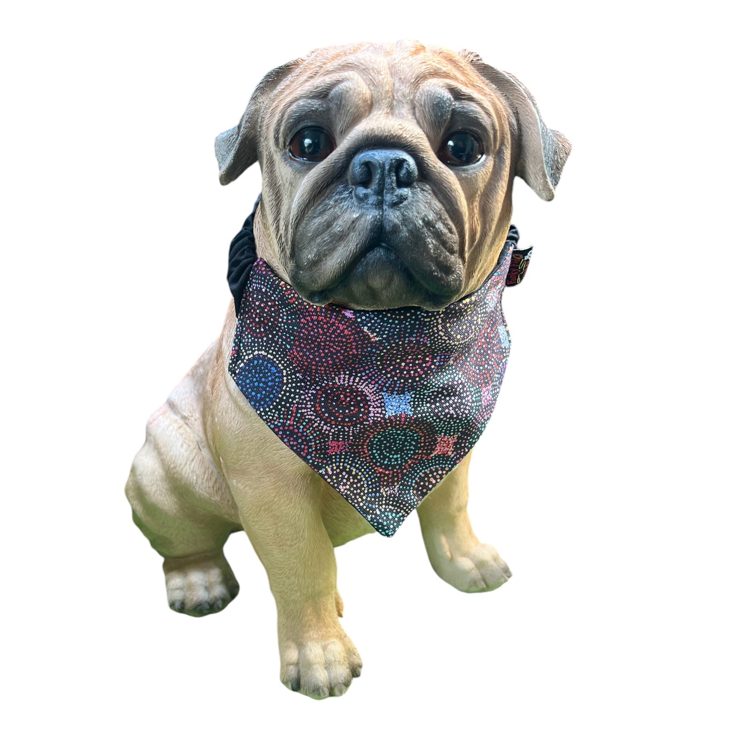 Doggy 'danas INDIGENOUS