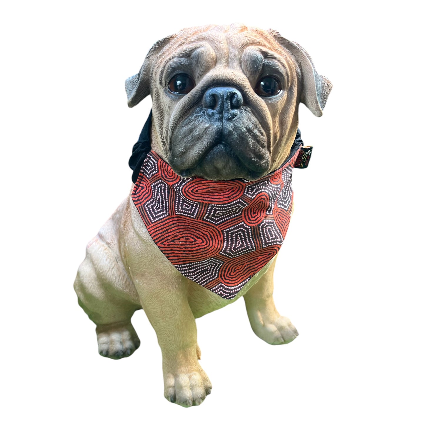 Doggy 'danas INDIGENOUS