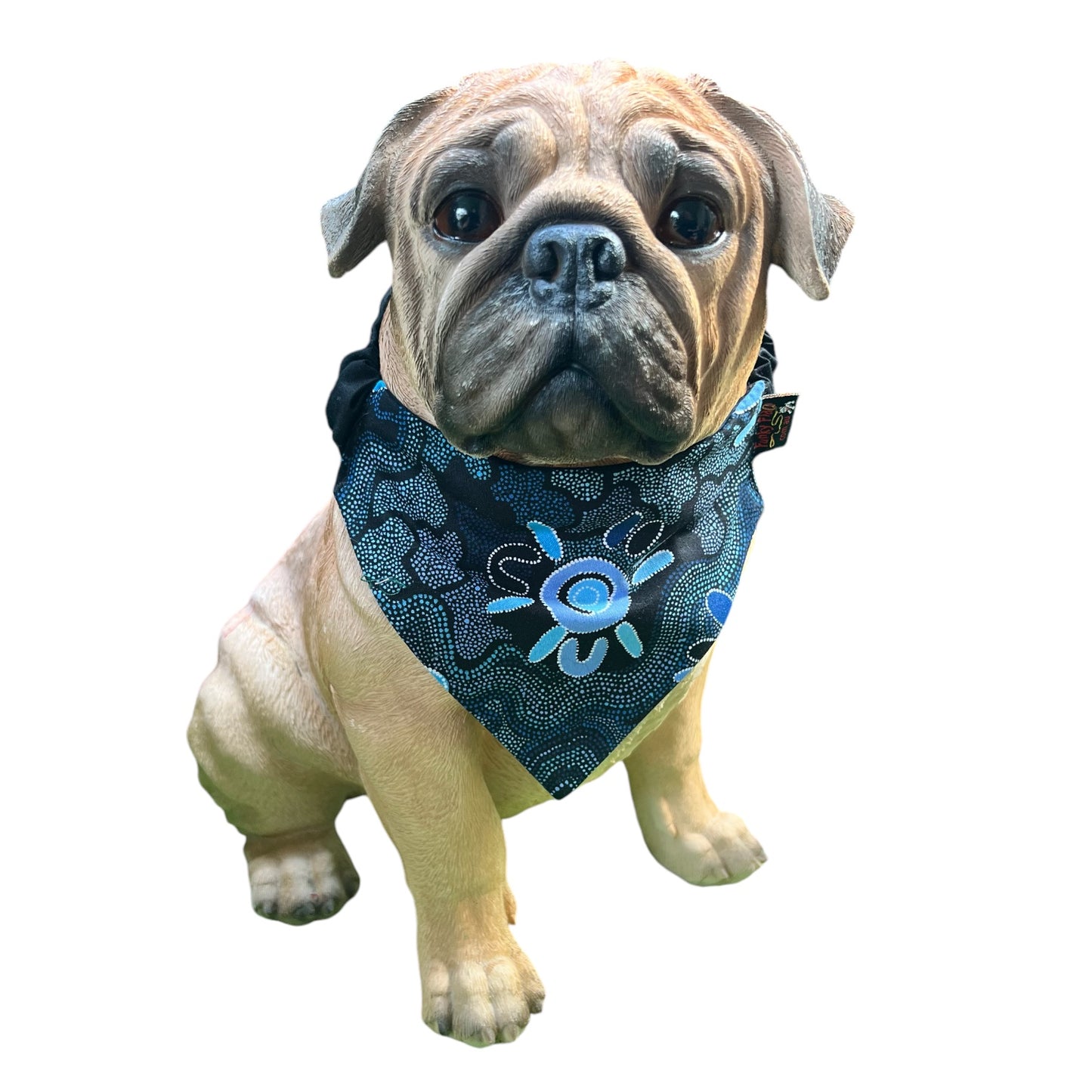 Doggy 'danas INDIGENOUS