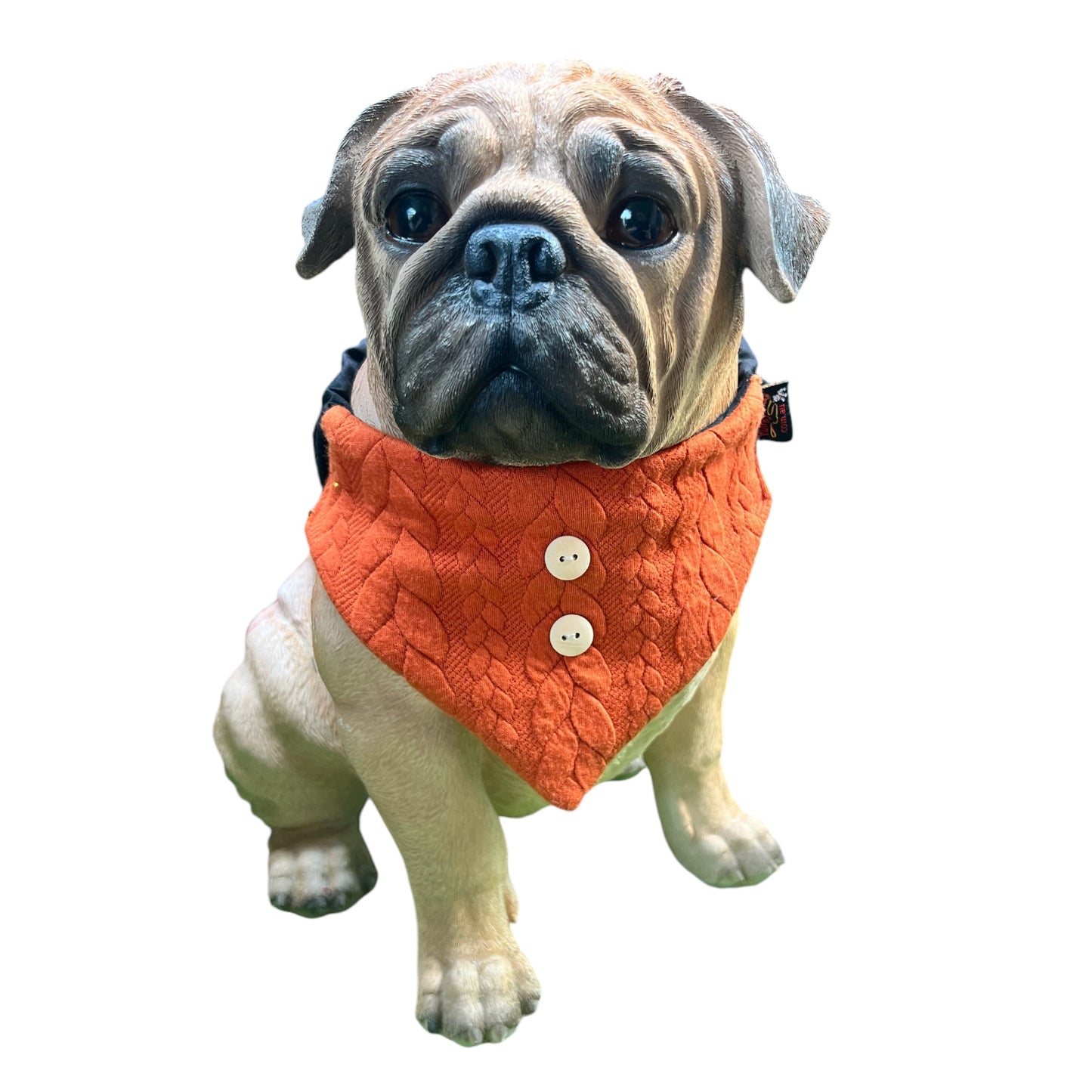 Doggy 'danas KNITTED Collection