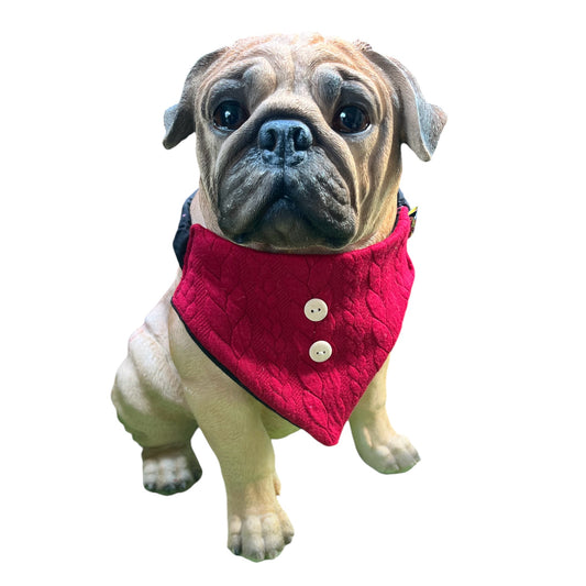 Doggy 'danas  KNITTED Collection