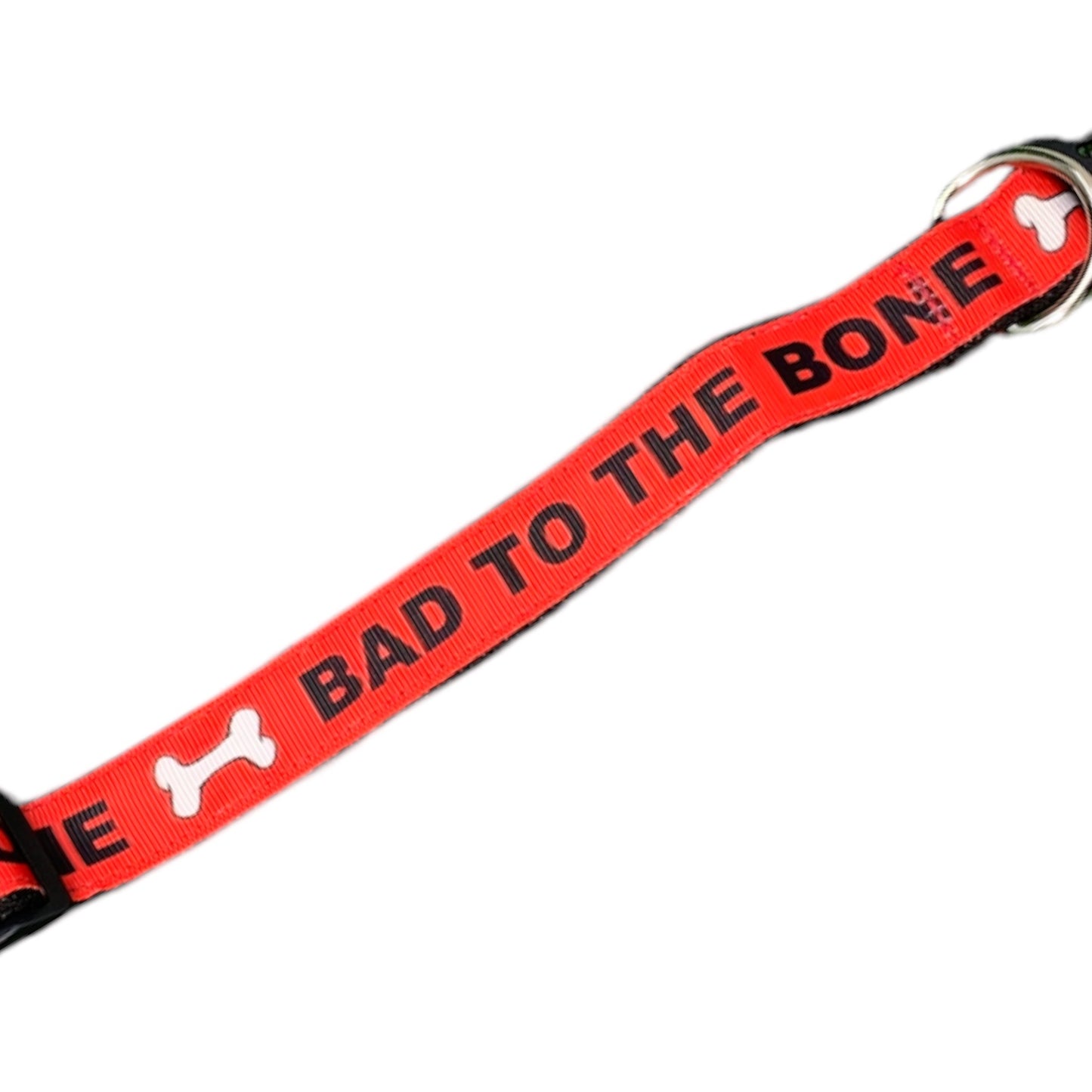 Dog Leashes