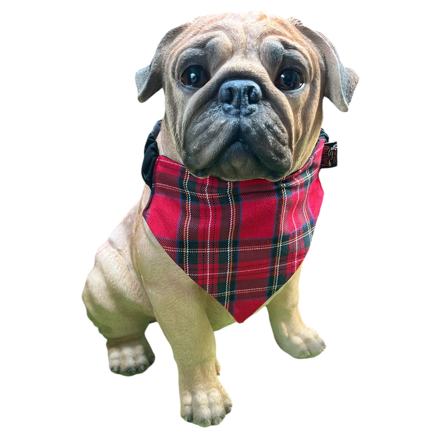 Doggy 'danas TARTAN