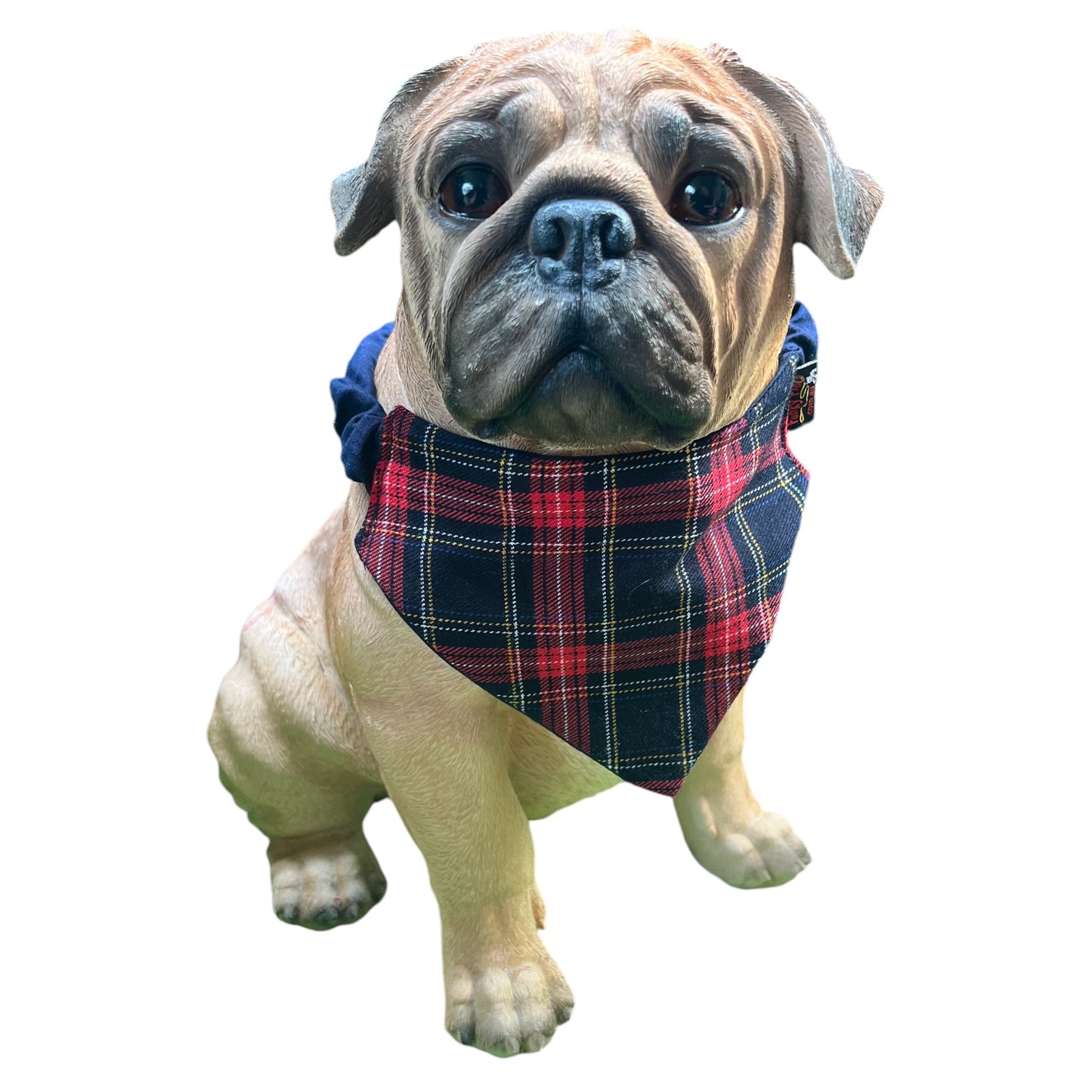 Doggy 'danas TARTAN