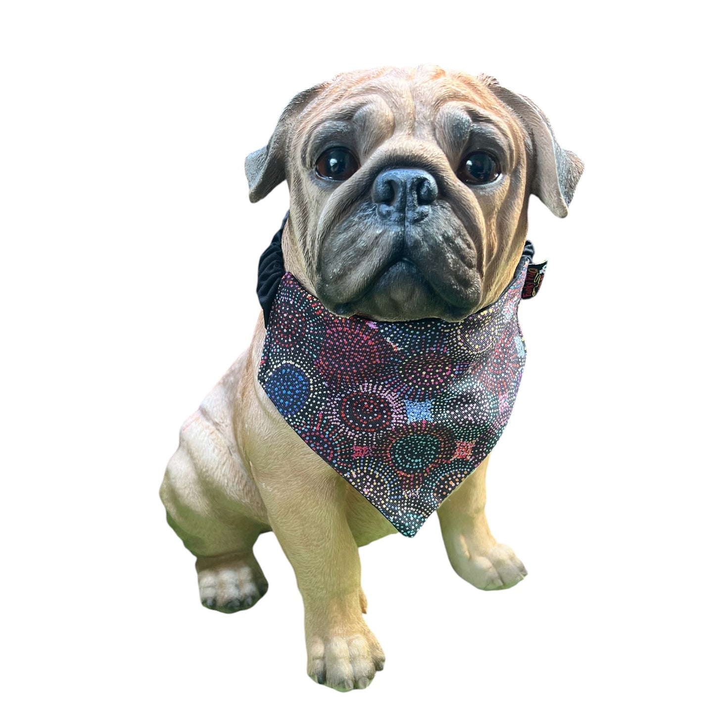 Doggy 'danas INDIGENOUS