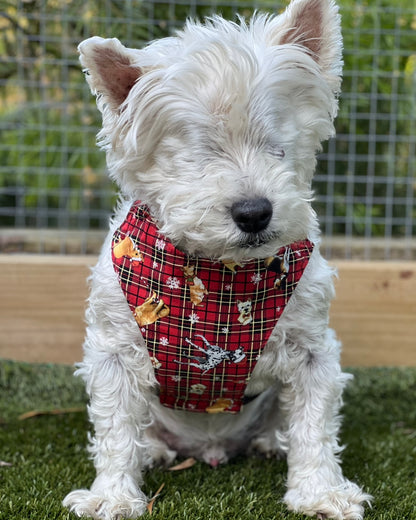 Christmas Harnesses