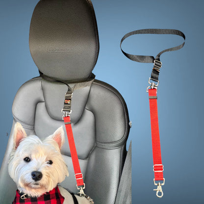 Car Seatbelt Restraints