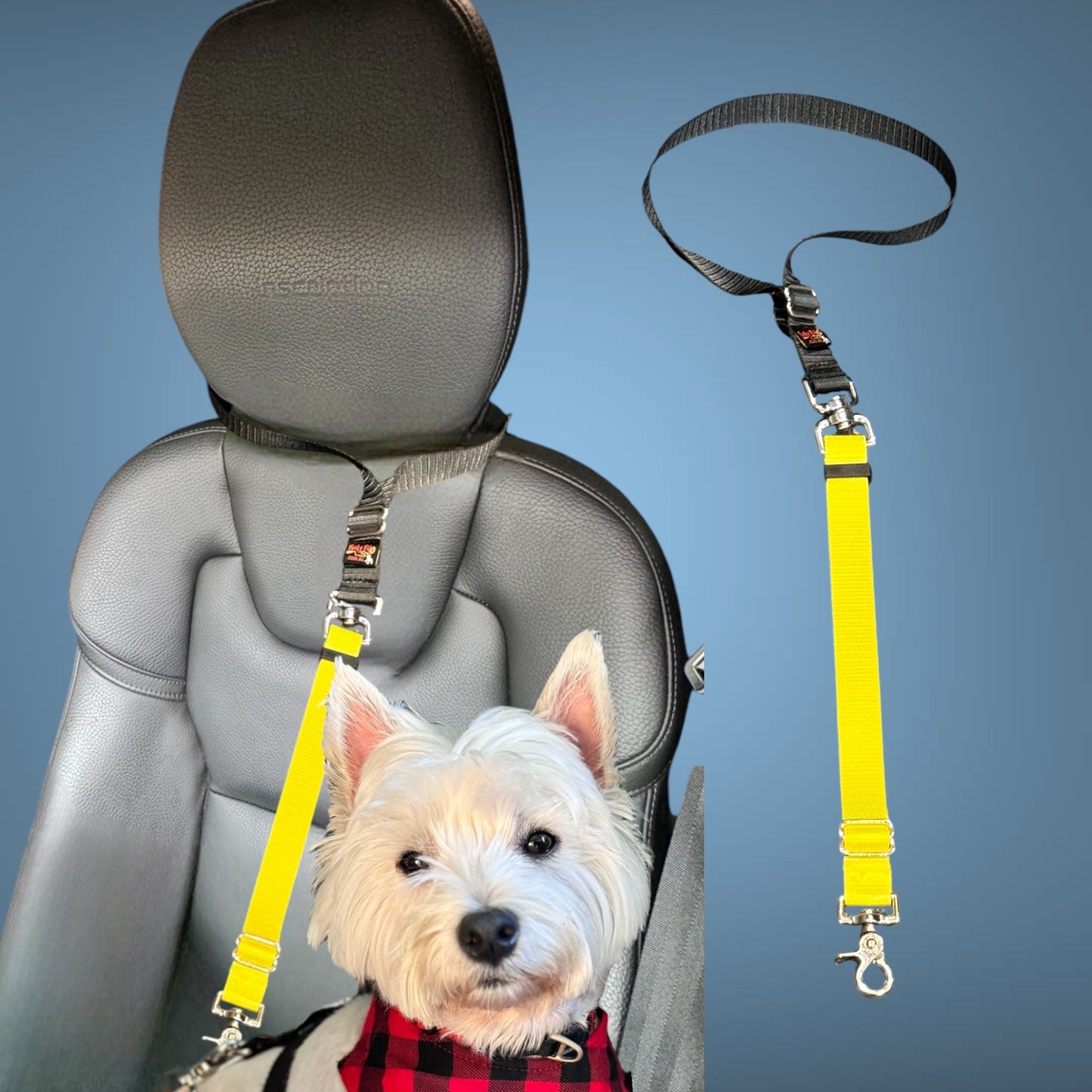 Car Seatbelt Restraints