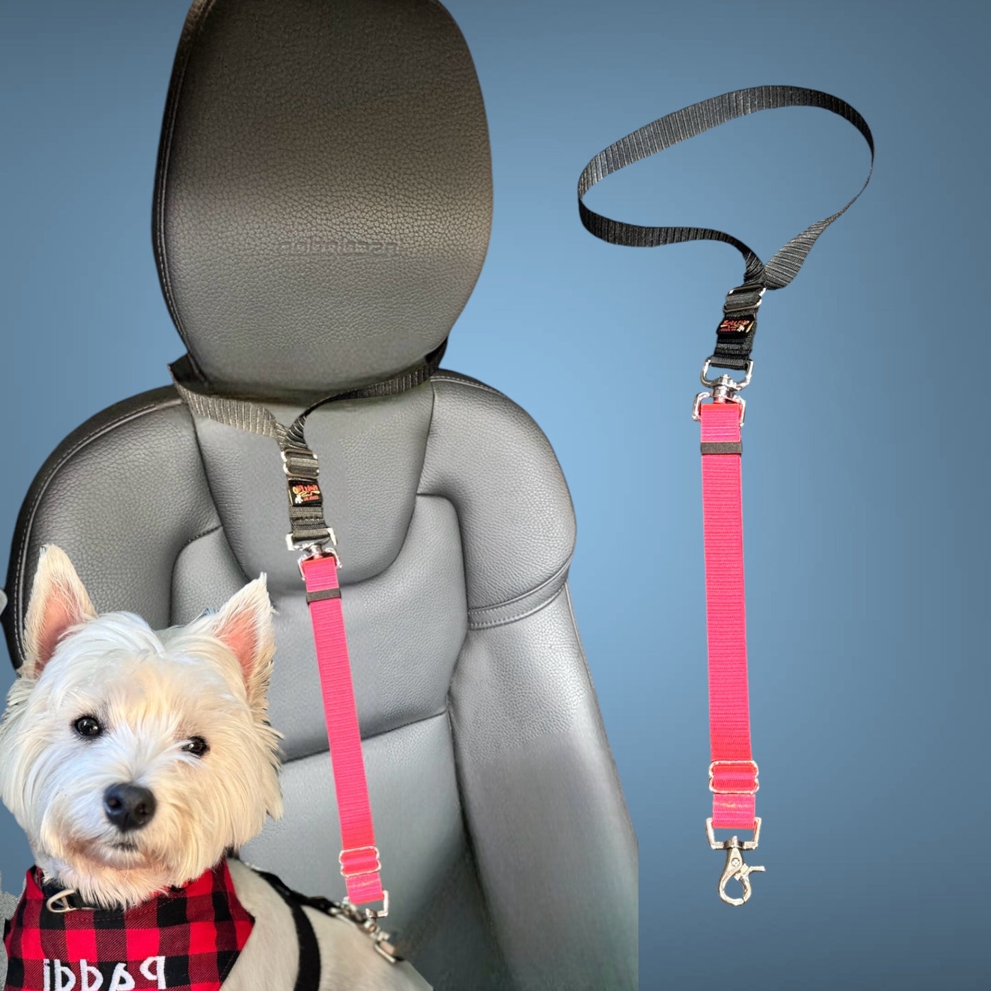 Car Seatbelt Restraints