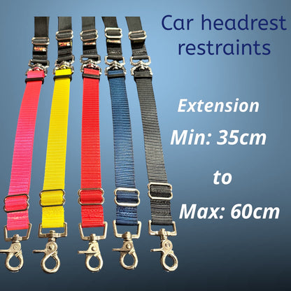 Car Seatbelt Restraints