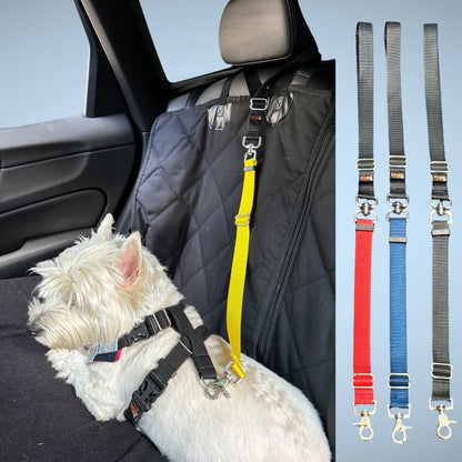 Car Seatbelt Restraints