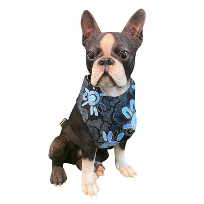 Harness Aussie