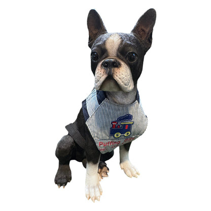 Harness Aussie